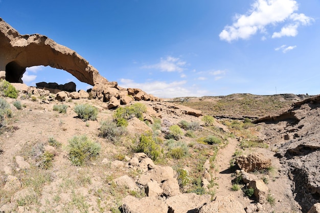 dry landscape