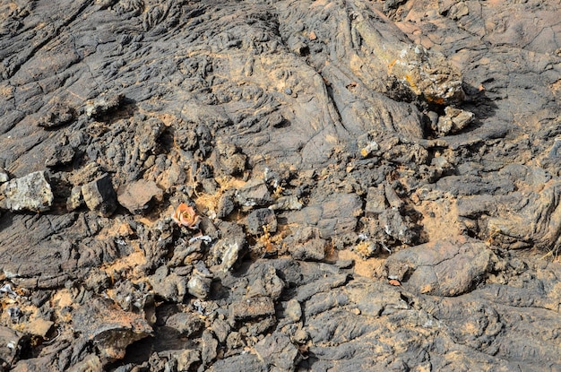 Dry Lava Texture