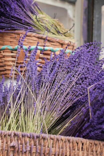 Dry Lavender Bunches Close up