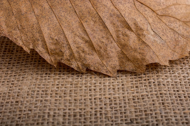 Photo dry leaf on brown canvas background