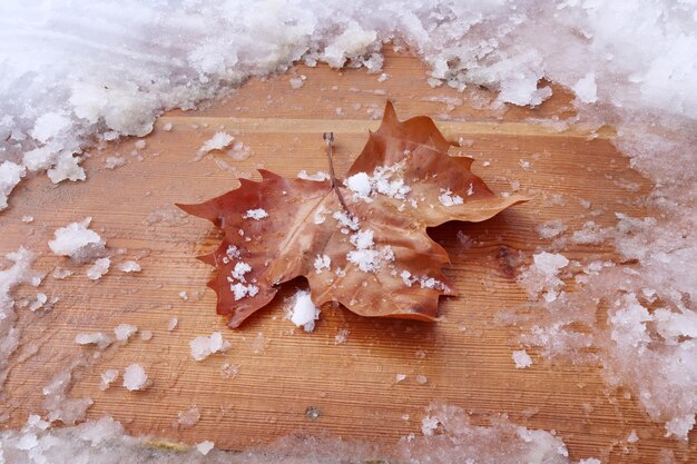 Dry leaf on snowy wooden table