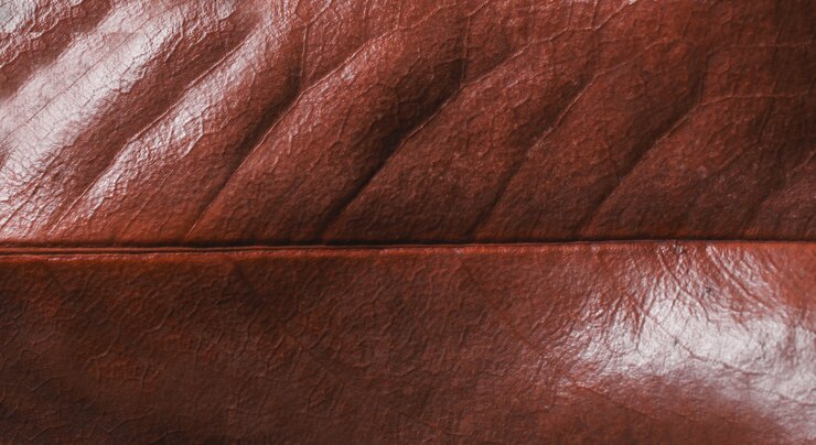 फोटो dry leaf texture background