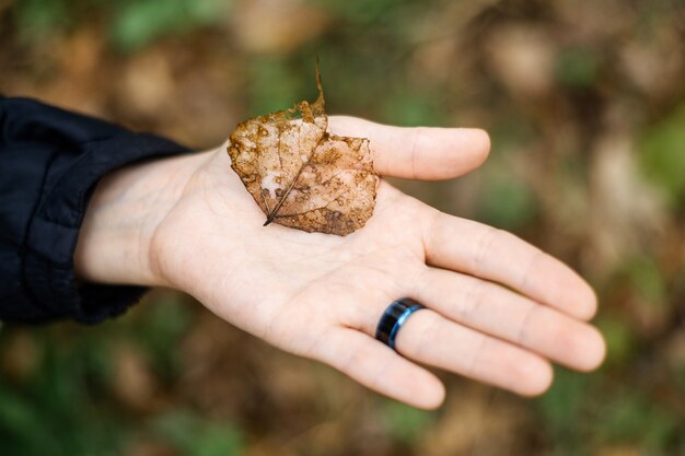 Foglia secca sul palmo di una donna. l'inizio del concetto di autunno.