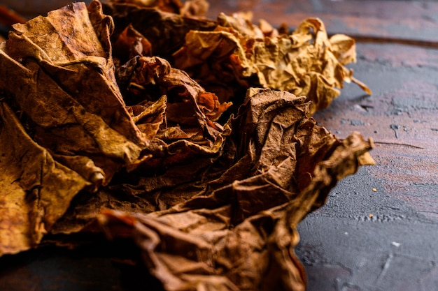 Dry leafs tobacco close up Nicotiana tabacum and tobacco leaves on old wood planks table dark side view space for text