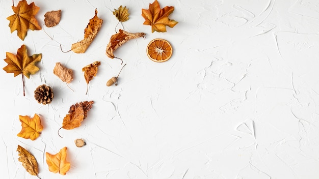 Dry leaves arrangement on white background 