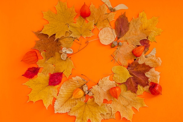 Dry leaves wreath frame on orange color background