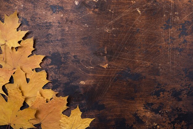 Dry maple leaves on old grunge wood