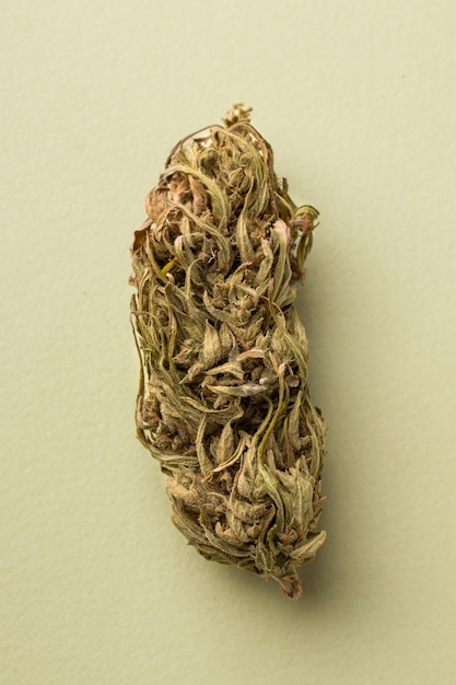 Dry marijuana on green background