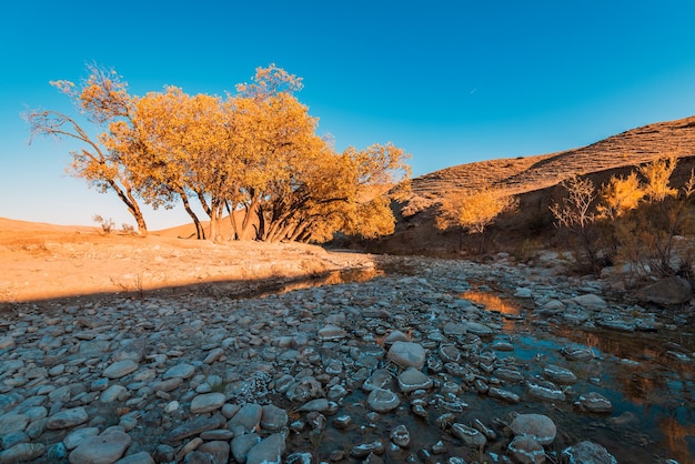 Dry mountain river in autumn season