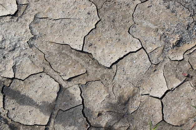 Photo dry mud background and texture, ground and land