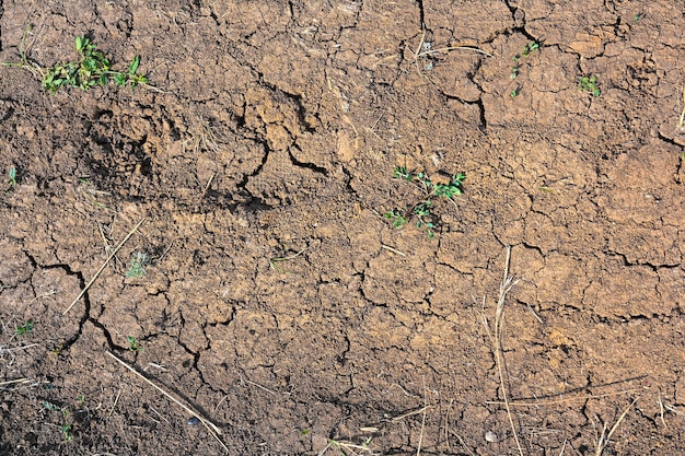 Dry mud cracked ground texture drought season background dry\
and cracked land dry due to lack of rain effects of climate\
change