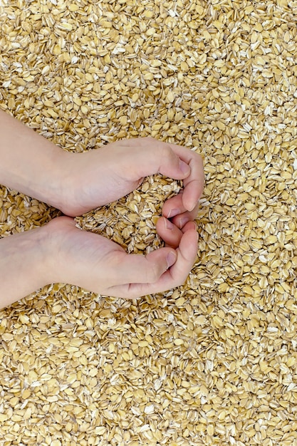 Dry oatmeal porridge in hands in the shape of a heart.