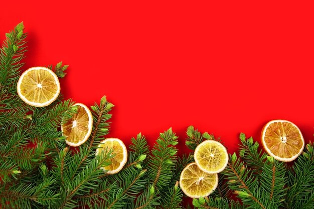 Dry oranges and fir tree branches