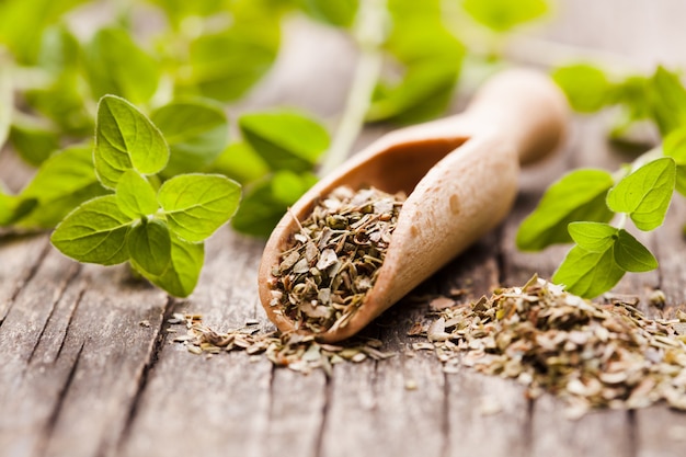 Dry oregano herb