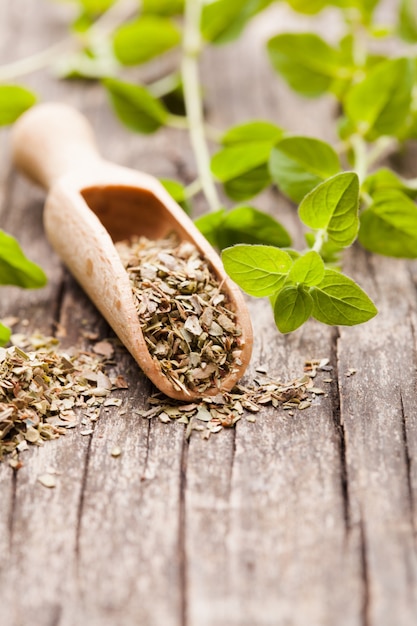 Dry oregano in wooden scoop and green twigs