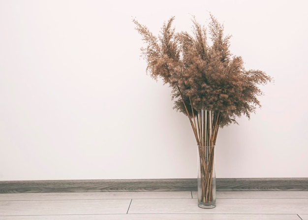 Photo dry pampas grass in pot on parquet floor in the room