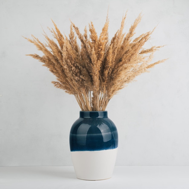 Dry pampas grass in a vase