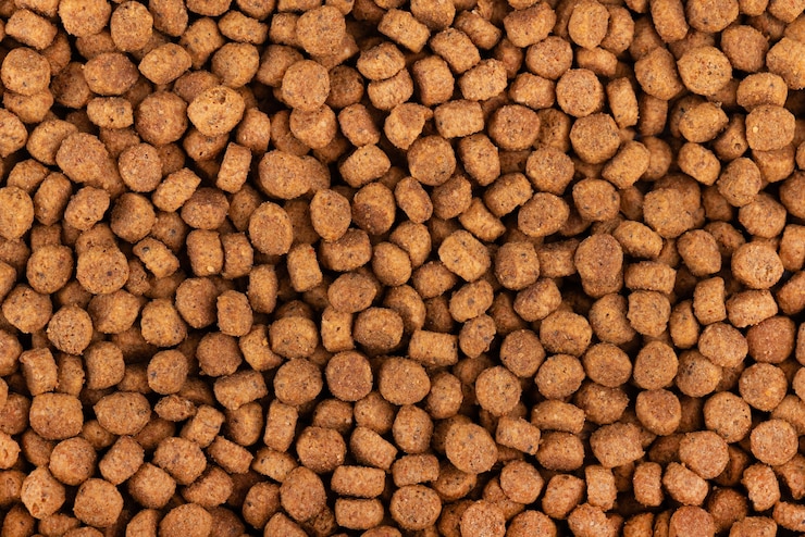 Photo dry pet food background