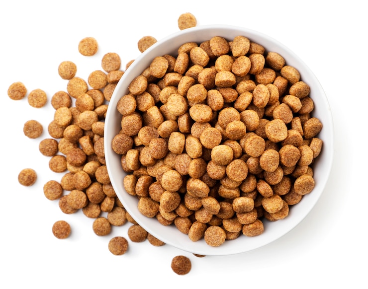 Photo dry pet food in a plate close-up on a white background, isolated. top view