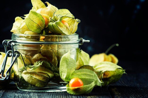 Dry physalis dark background selective focus