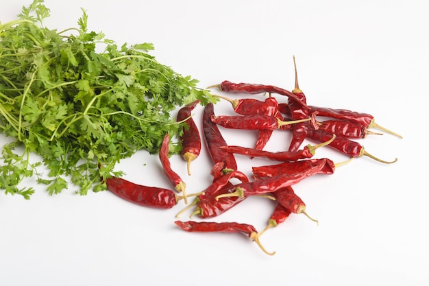 Dry red chilli and coriander leaf on white background.