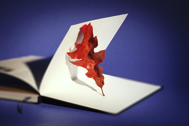 Сухой красный дубовый лист в старой книге Цветы вереска Фиолетовый бумажный фон