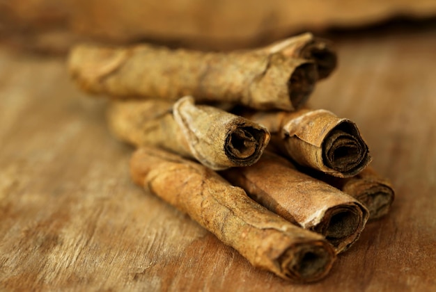 Dry rolled tobacco leaves for making cigars