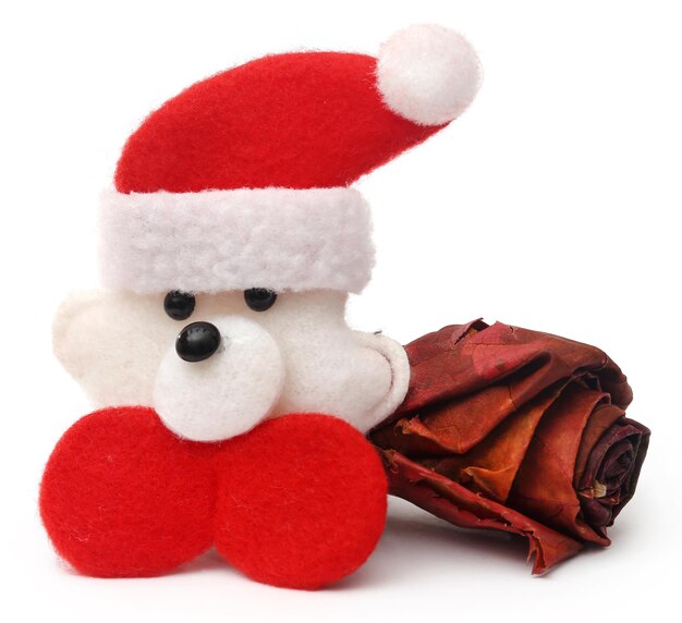 Dry rose buds with santa claus as symbols of Christmas