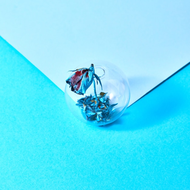 Photo the dry rose is painted of blue paint in a transparent glass with blue petals on the bottom on a blue duotone paper background, place under text.