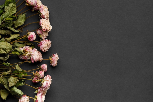 Dry roses on dark background top view copy space