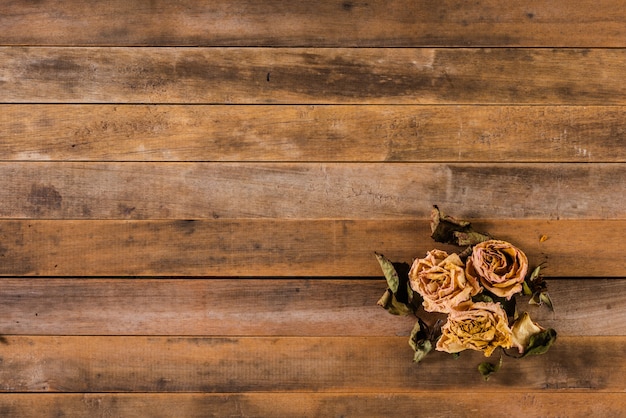 Foto le rose asciutte fioriscono sulla vecchia tavola di legno