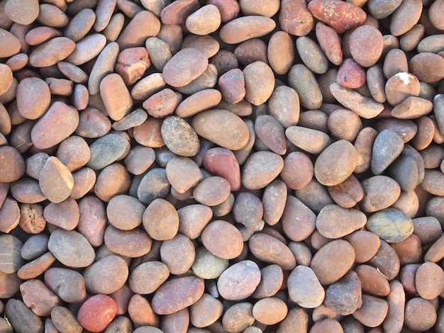 dry round reeble stones     