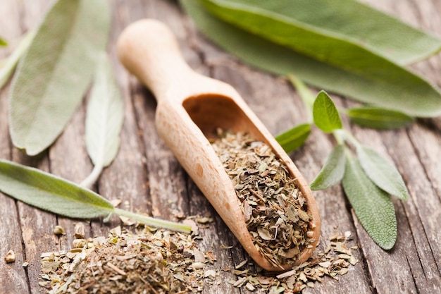 Dry sage in wooden scoop and green twigs