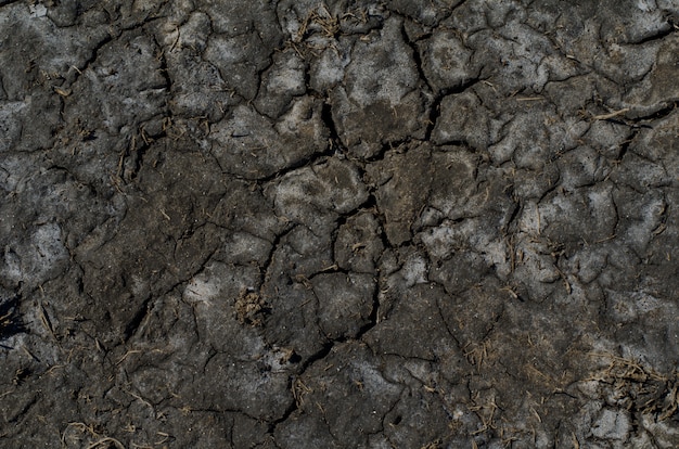 dry saline soil surface with salt stains 