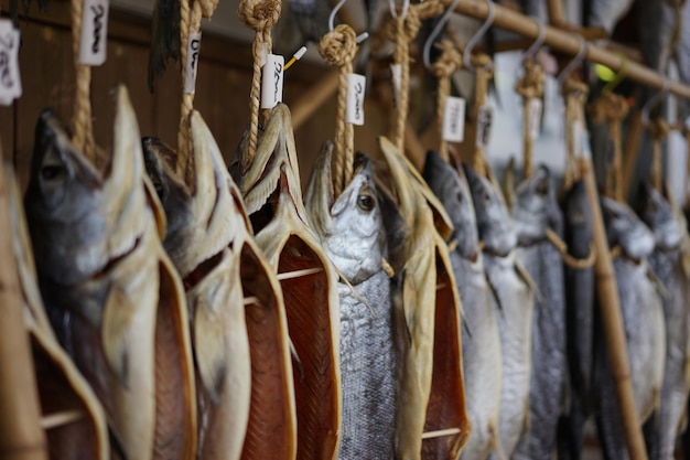 Foto salmoni secchi appesi per la vendita al mercato del pesce