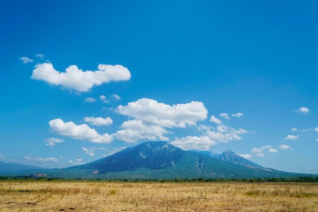 Dry savanna with mount baluran background