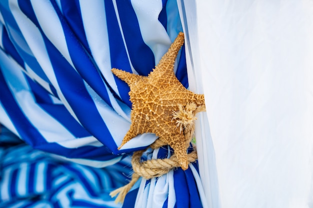 Dry sea starfish on the blue and white curtains. Decor on the sea time party.