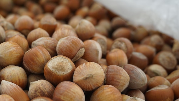 Dry shelled hazelnuts dried hazelnuts a bowl of hazelnuts