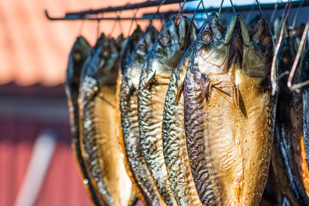 Foto pesce fresco di sgombro affumicato a secco in un mercato del pesce