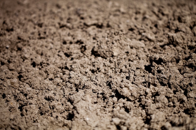 Dry soil background