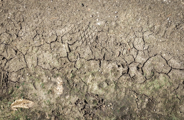 Dry soil closeup texture