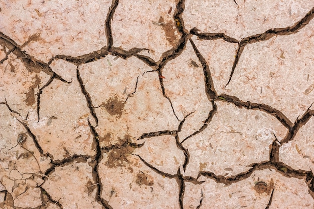 dry soil cracked earth texture