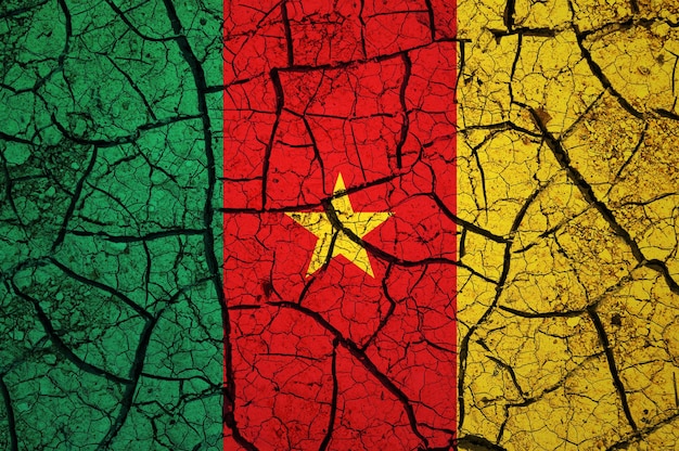 Dry soil pattern on the flag of Cameroon. Country with drought concept. Water problem. Dry cracked