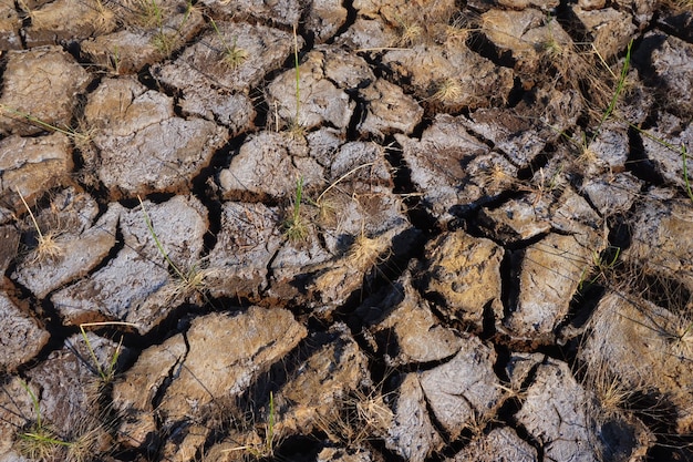 dry soil texture in the dry season