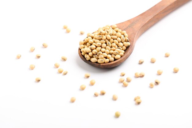 Dry soybean seed in wooden spoon on white background