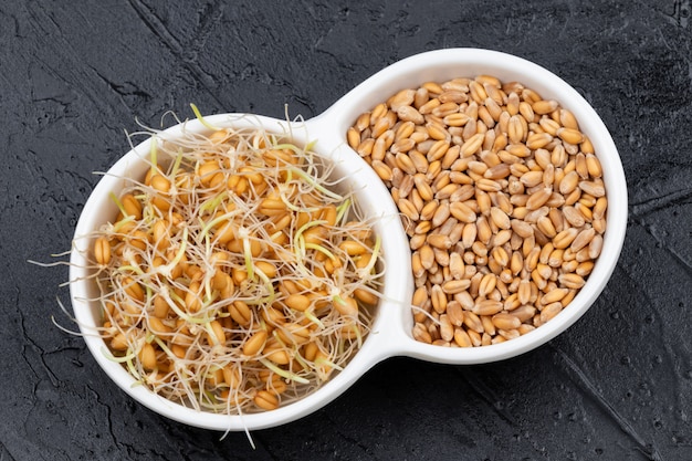 Chicchi di grano secchi e germogliati in un piatto bianco con spighe di grano. grani biologici buoni per insalate, cibi sani. avvicinamento