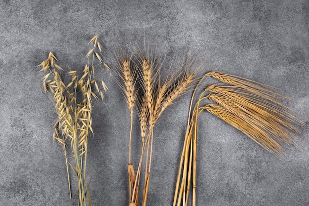 Dry stalks of barley, oats and wheat.