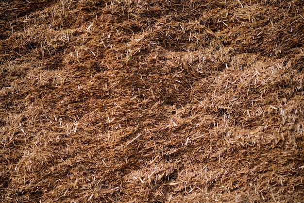 Dry straw agriculture background Dry straw texture background