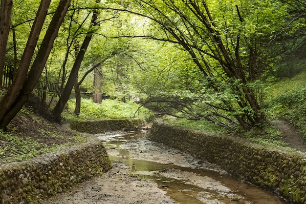 木々の間の夏の公園に石が並ぶ銀行のある乾いた小川