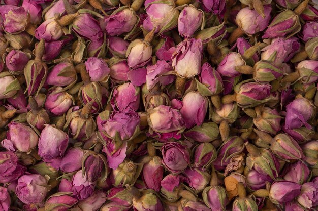 Dry tea roses isolated on white background